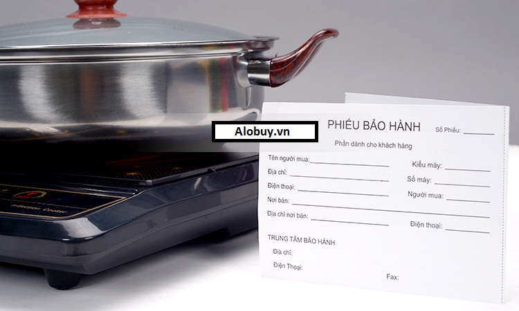 Bếp điện từ Fujika FU-19DD