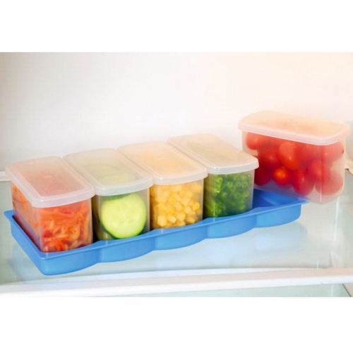 Bộ 5 hộp bảo quản thực phẩm tủ lạnh có nắp Tashuan TS-3197