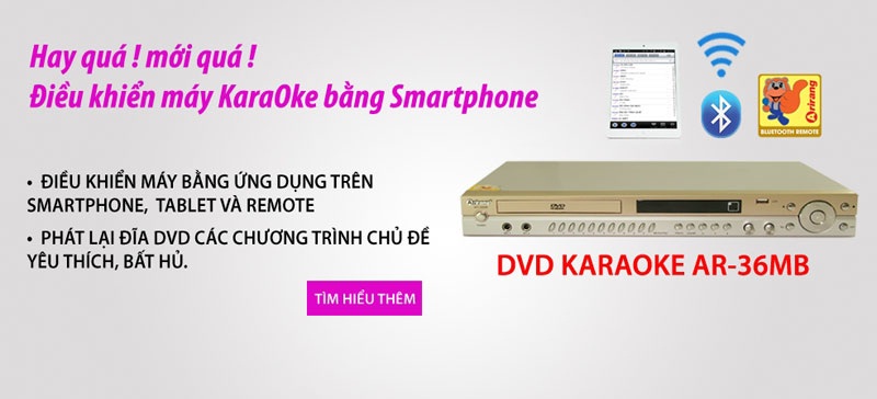 Mua Đầu DVD Karaoke Arirang AR-36MB