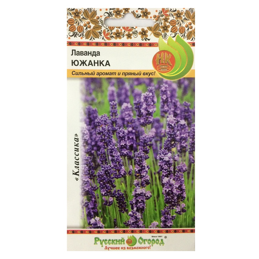 Hạt giống hoa oải hương (Lavender)