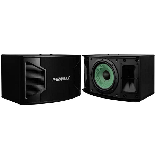 Loa Paramax P-2500