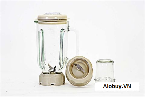 Máy xay sinh tố Fujika FJ-999