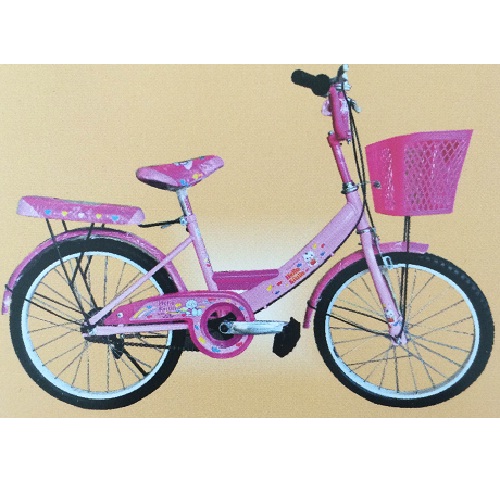 Xe đạp trẻ em - 20 inch - M722-X2B