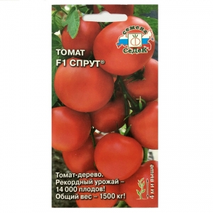 Hạt giống cà chua giàn F1 - 32592