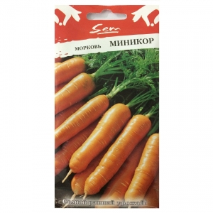 Hạt giống cà rốt mini - 319335