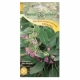 Hạt giống cây xô thơm (Salvia Officinalis) - 24380-1