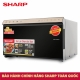 Lò vi sóng Sharp R-29D2(G)VN-4