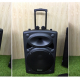 Loa vali kéo di động Bluetooth Karaoke TEMEISHENG DP-2305L-3