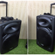 Loa vali kéo di động Bluetooth Karaoke TEMEISHENG DP-2305L-1