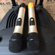 Loa vali kéo di động Bluetooth Karaoke TEMEISHENG LA-015-1